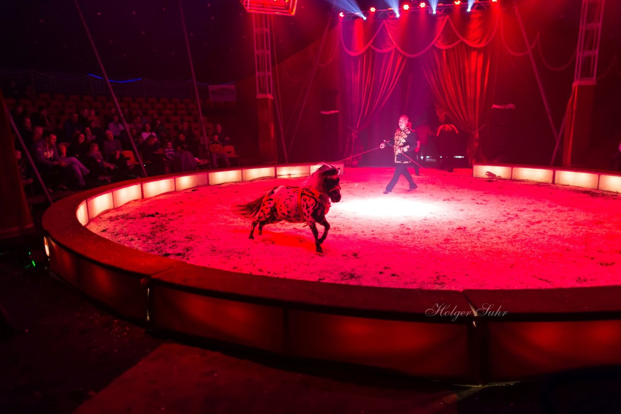 Bild 92 - Circus Europa